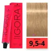 Schwarzkopf Igora Royal hajfesték 9 1/2-4