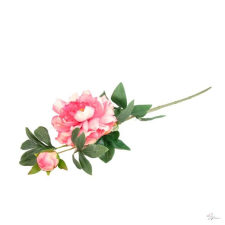  Selyemvirág peonia 68cm rózsaszín dekorációs kellék