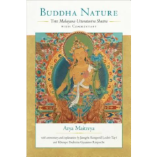 Shambhala Publications Inc. Buddha Nature | Khenpo Tsultrim Gyamtso egyéb könyv