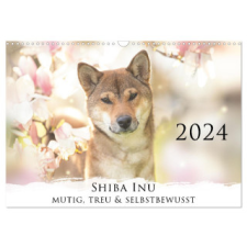  Shiba Inu - mutig, treu, selbstbewusst (Wandkalender 2024 DIN A3 quer), CALVENDO Monatskalender – Tamashinu Photography naptár, kalendárium