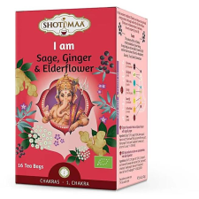 Shoti Maa - Chakras - 1st Chakra: I Am - Ayurvedic Yogi Tea (03101) tea