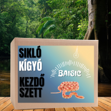  Sikló BASIC kezdőcsomag - bébi siklóknak hüllőfelszerelés