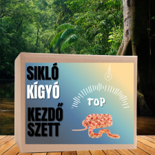  Sikló TOP kezdőcsomag - bébi siklóknak hüllőfelszerelés