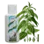 Silanus Silanus csalán sampon 250ml