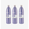  Silky Ondulate "2" 500 ml