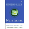 Simon &amp; Schuster Narcissism | Alexander Lowen