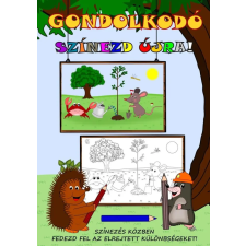 Simon József (magánkiadás) Simon József - Gondolkodó - Színezd újra! gyermek- és ifjúsági könyv