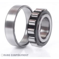 SKF N310 ECP SKF Csapágy barkácsolás, csiszolás, rögzítés