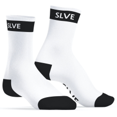  SLVE