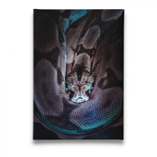 Snake - Vászonkép grafika, keretezett kép