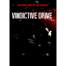 Sometimes You Vindictive Drive (PC - Steam Digitális termékkulcs) videójáték