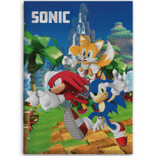  Sonic a sündisznó Speedy Dreams polár takaró 100x140cm lakástextília