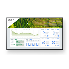 Sony FW-55BZ30L monitor