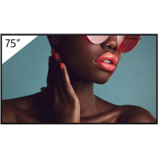 Sony FW-75BZ40L monitor