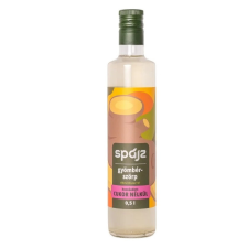 Spájz szörp cukormentes gyömbér édesítőszerrel 500 ml szörp