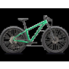 Specialized Rockhopper Expert 29 - M, GLOSS ELECTRIC GREEN / DARK MOSS GREEN , 2024