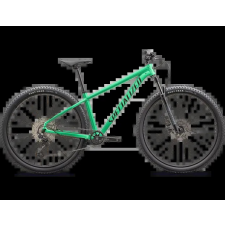 Specialized Rockhopper Expert 29 - M, GLOSS ELECTRIC GREEN / DARK MOSS GREEN , 2024 kerékpár és kerékpáros felszerelés