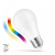 Spectrum 9W RGBW+CCT+DIMM E27 LED izzó Spectrumled (SP WOJ14412)