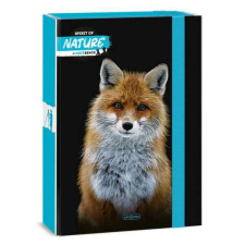 Spirit of Nature füzetbox - A4 - rókás füzetbox