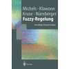 Springer-Verlag Berlin and Heidelberg GmbH &amp; Co. KG Fuzzy-Regelung | Kai Michels,Frank Klawonn,Rudolf Kruse