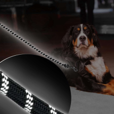 Springos PA0331 SMYCZ DLA PSA nyakörv, póráz, hám kutyáknak