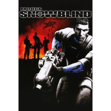 Square Enix Project Snowblind (PC - Steam elektronikus játék licensz) videójáték
