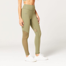 SQUATWOLF Mesh Insert Leggings Green XL