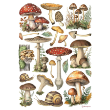 Stamperia Best Sellers Rízspapír A4 Mushrooms Rice Paper (1 ív) decoupage papír