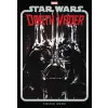  Star Wars: Darth Vader Poster Book