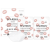 STARSKIN Plumping And Hydrating Bio-Cellulose Lip Mask Ajakmaszk 10 g