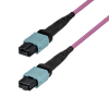 Startech .com OS2MTP12AOFNP5M, 5 M, OS2, MPO/MTP, MPO/MTP