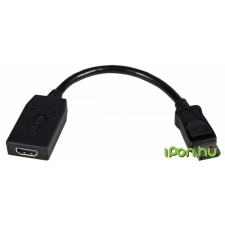 Startech DisplayPort HDMI Átalakító Fekete 12cm DP2HDMI kábel és adapter