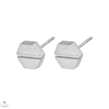 Steelwear Honolulu férfi fülbevaló 8 mm - SW-922 fülbevaló