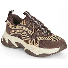 Steve Madden Rövid szárú edzőcipők ANIMATES LE Barna 40