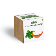 Stevia növényem fa kockában fa és növény