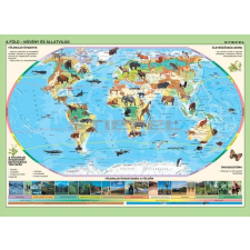 Stiefel A Föld állatai kisméretű falitérkép térkép