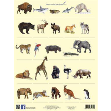 Stiefel Tanulói munkalap, A4, STIEFEL&quot; Vadon élő állatok&quot; tankönyv