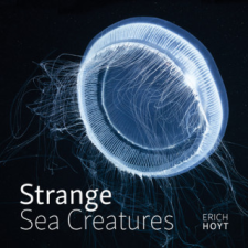  Strange Sea Creatures – Erich Hoyt idegen nyelvű könyv