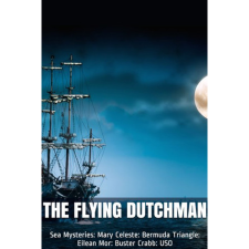 STRATEGY FIRST The Flying Dutchman (PC - Steam elektronikus játék licensz) videójáték