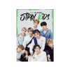  Stray Kids - Unofficial 2023 Calendar - A3-as naptár