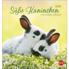  Süße Kaninchen Postkartenkalender 2026 (Naptár/Határidőnapló) naptár, kalendárium
