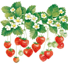  Summer Fruits papírszalvéta 33x33cm,20db-os konyhai eszköz
