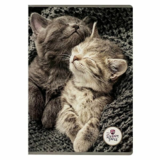 Sweet Pets cicás kockás füzet - A5 60 lapos füzet