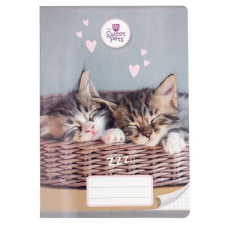 Sweet Pets kockás füzet - A5 - 27-32 - cicák kosárban füzet