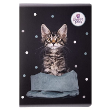 Sweet Pets kockás füzet - A5 60 lapos - cica kosárban füzet