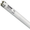 Sylvania F25W/T8/30