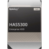 Synology HAS5300 8TB SAS 3.5 Server HDD (HAS5300-8T)