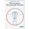 Synthesis Metamorphose - Die pränatale Therapie | Robert Saint John