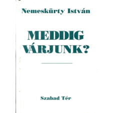 Szabad Tér Kiadó Meddig várjunk? antikvárium - használt könyv