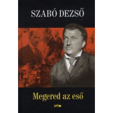 Szabó Dezső MEGERED AZ ESŐ regény